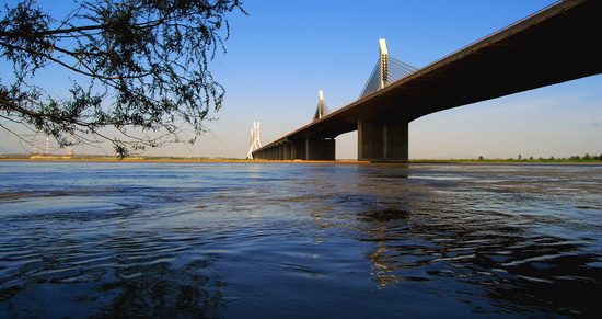 侯禹高速黃河特大橋